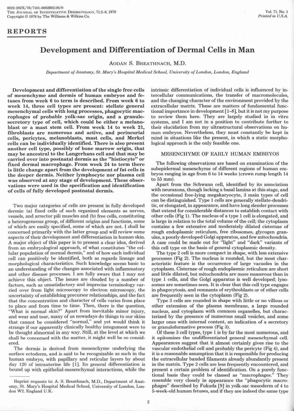 Development and Differentiation of Dermal Cells in Man