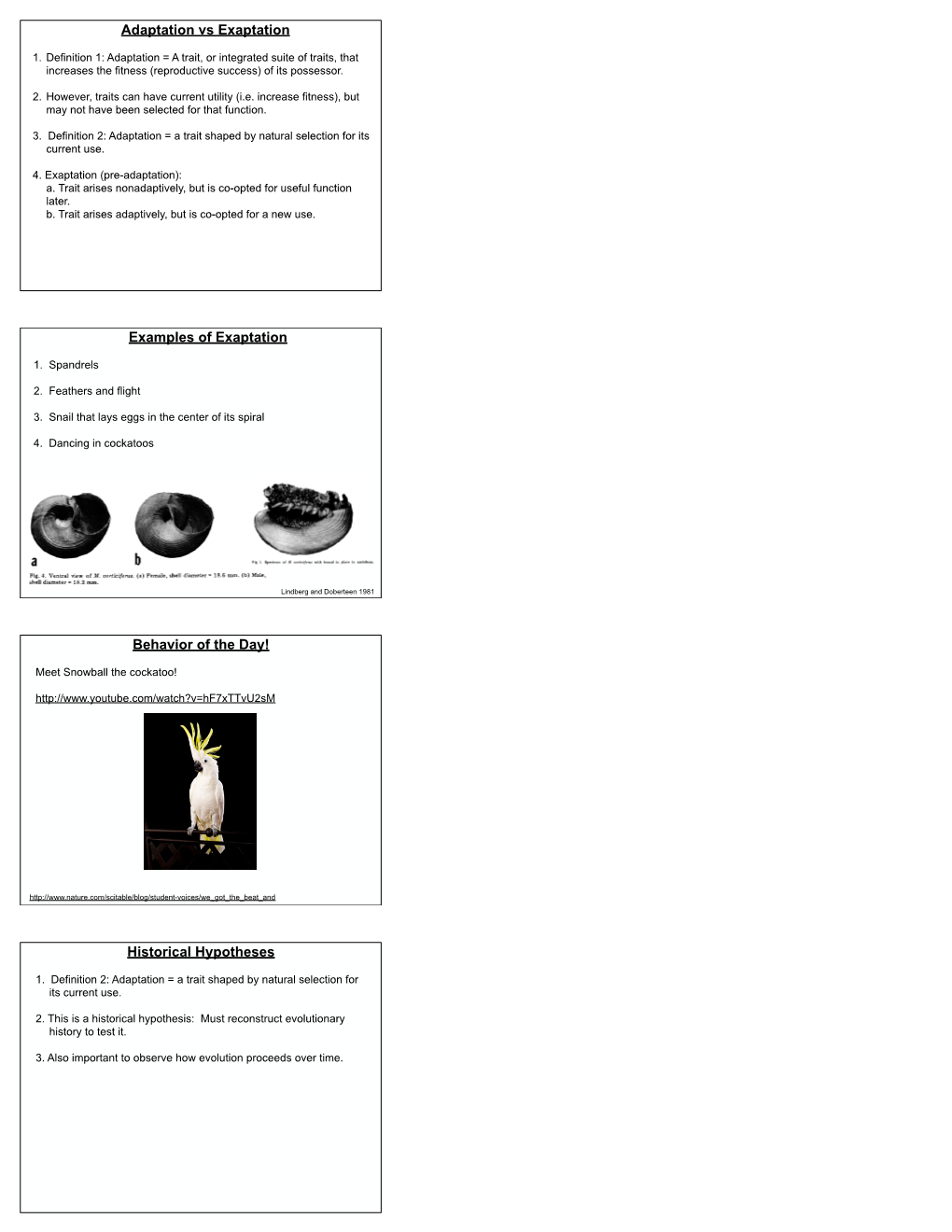 Lecture 14 Adaptation, Phylogenetic Tests