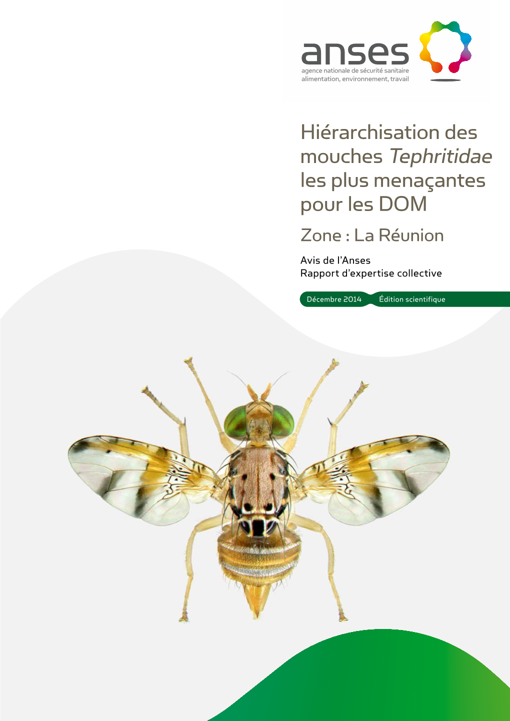 AVIS Et Rapport De L'anses Relatifs À "Demande De Réalisation D'une