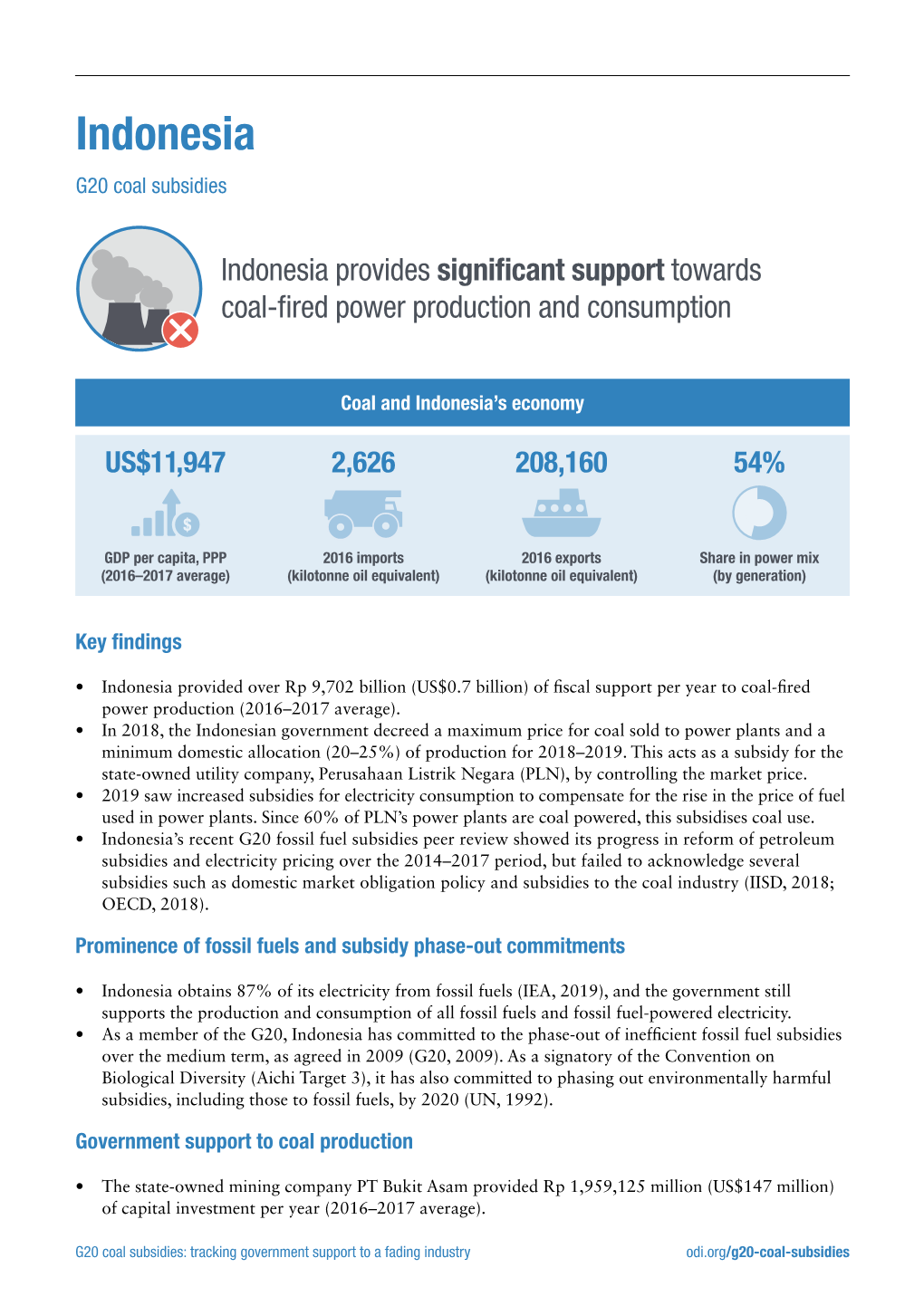 Indonesia G20 Coal Subsidies