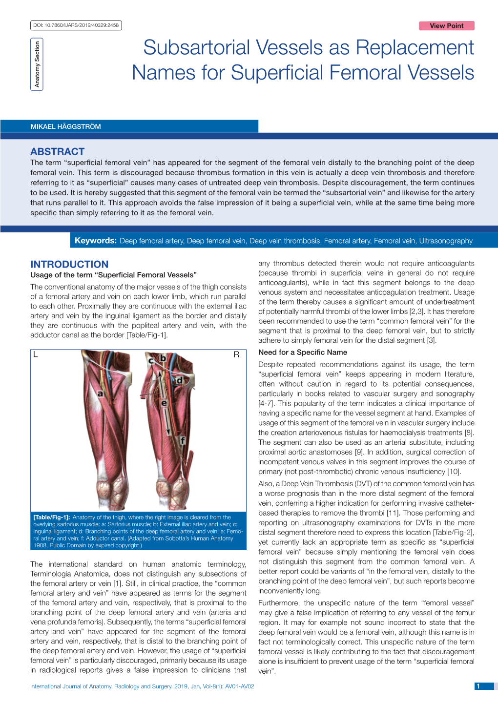 Subsartorial Vessels As Replacement Names for Superficial Femoral Vessels Anatomy Section