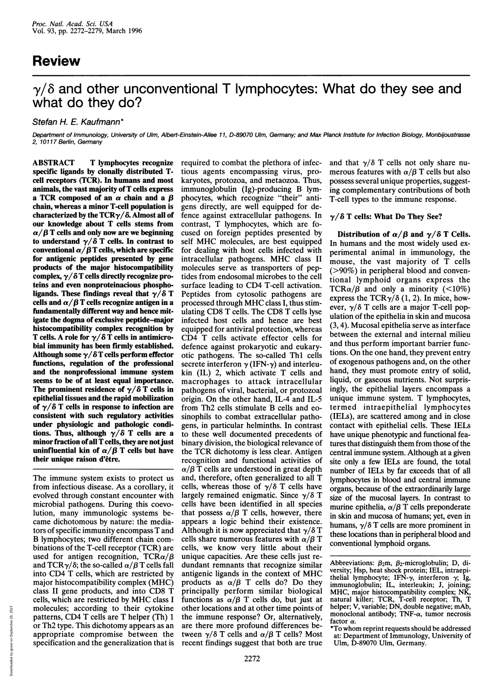 Y/6 and Other Unconventional T Lymphocytes: What Do They See and What Do They Do? Stefan H