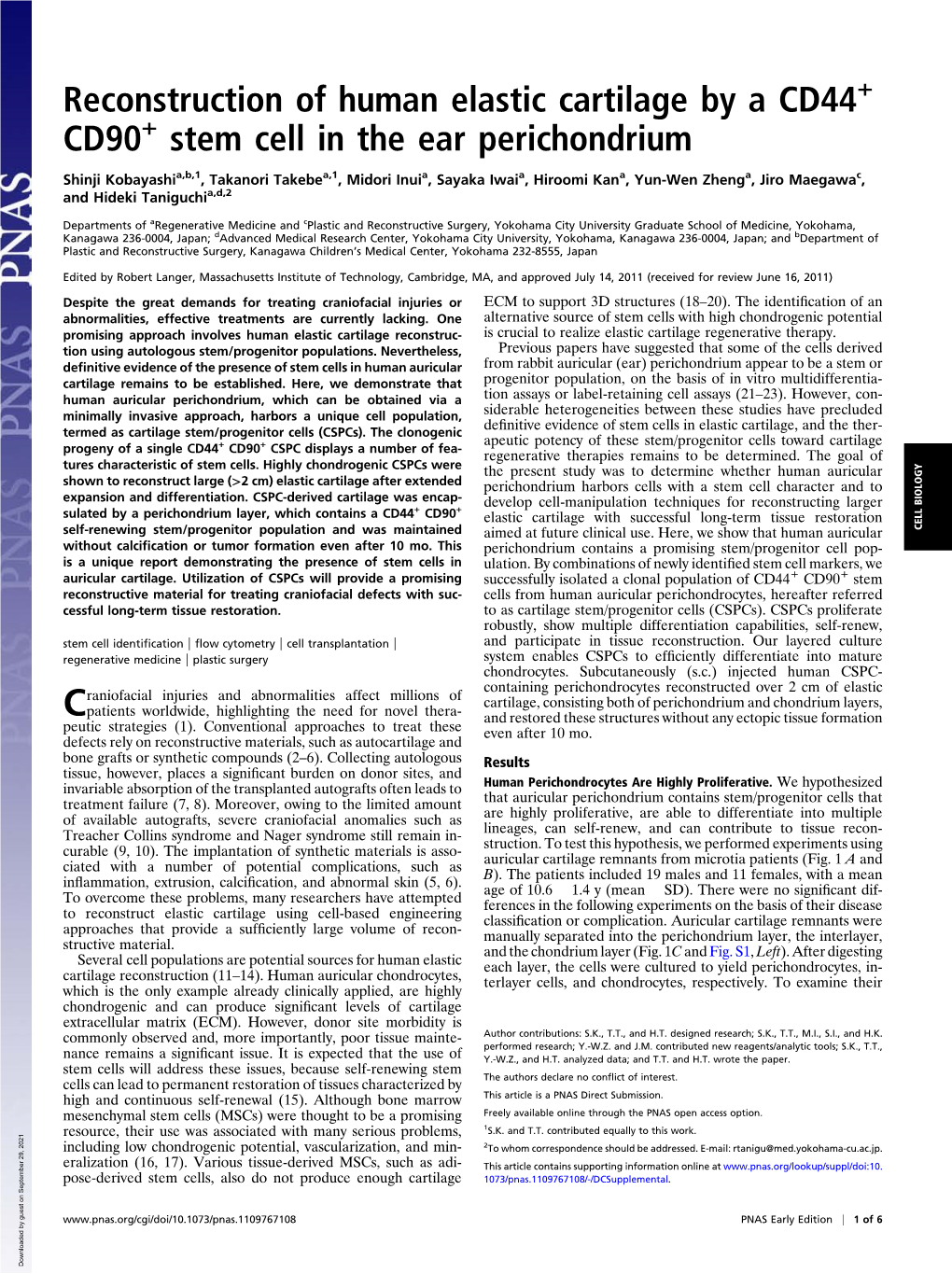 Reconstruction of Human Elastic Cartilage by a CD44 CD90 Stem Cell