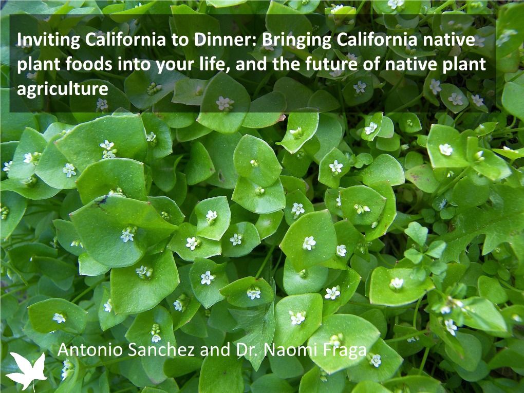 Native Plant Foods Into Your Life, and the Future of Native Plant Agriculture