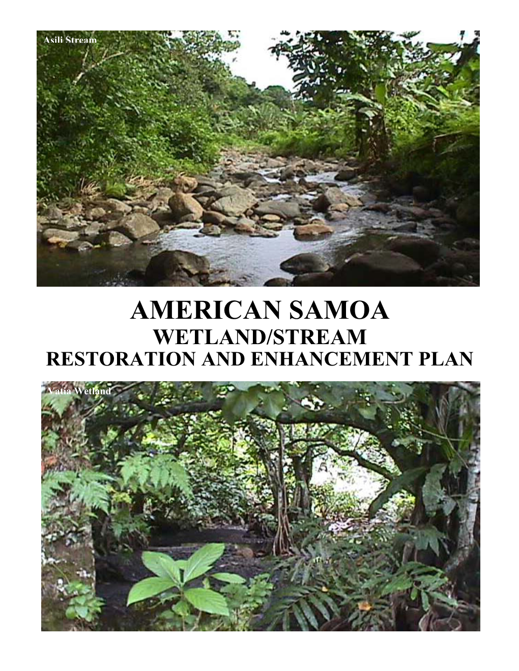 American Samoa Wetland/Stream Restoration and Enhancement Plan