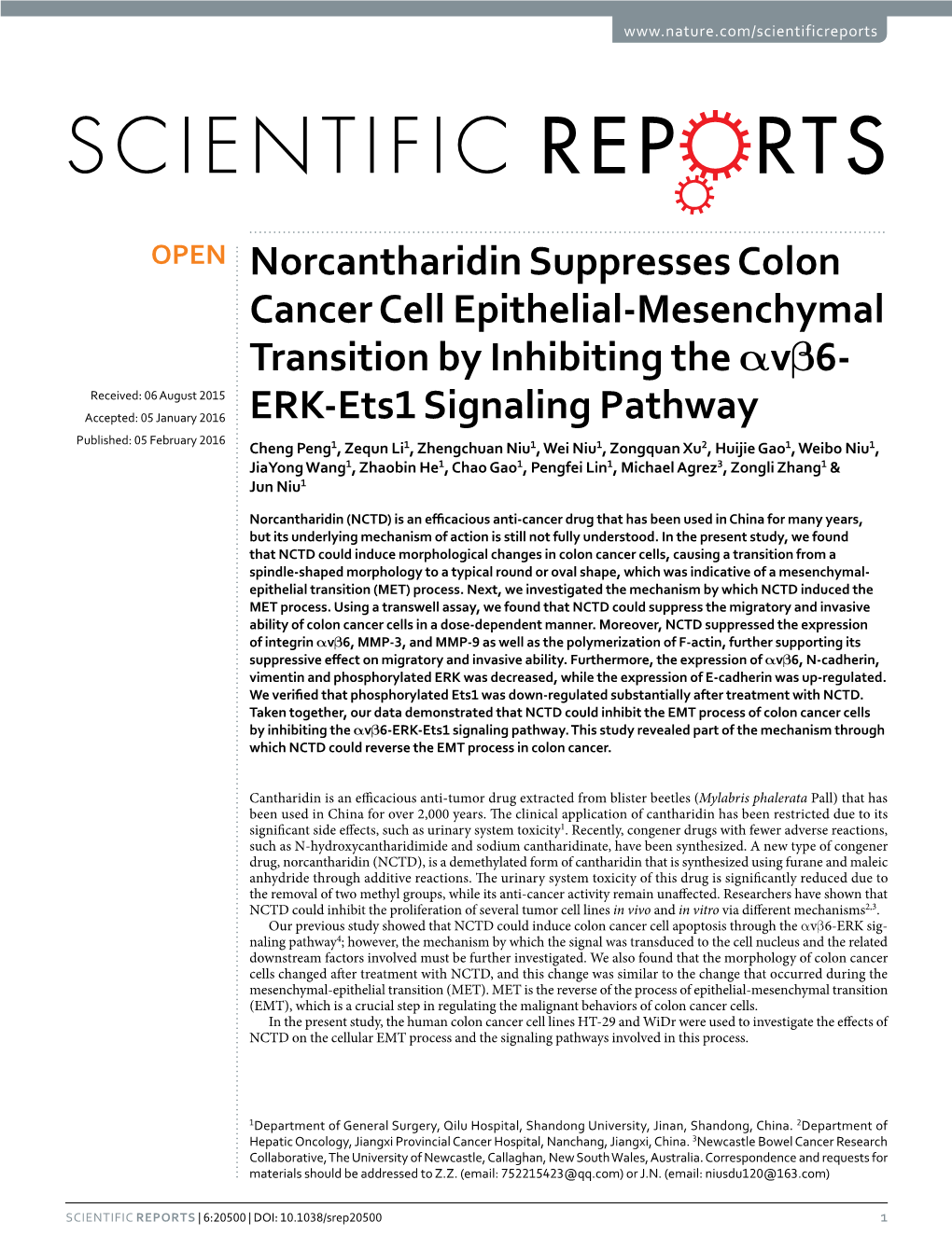 Norcantharidin Suppresses Colon Cancer Cell Epithelial