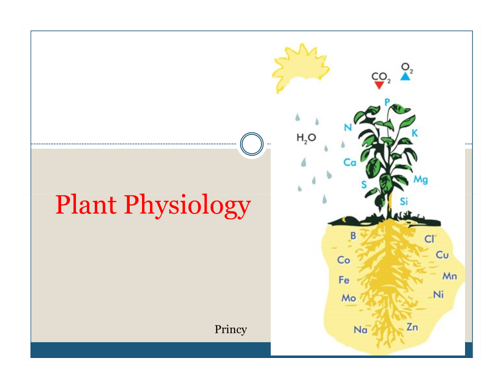 Plant Physiology