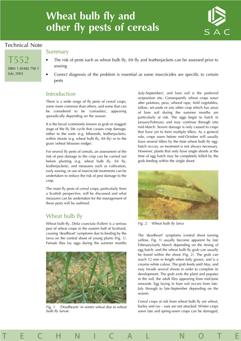 Wheat Bulb Fly and Other Fly Pests of Cereals