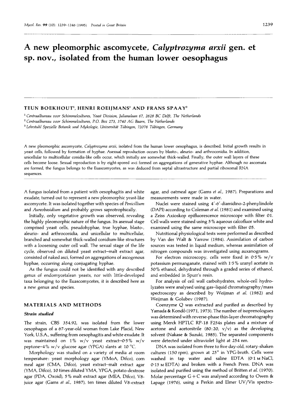 A New Pleomorphic Ascomycete, Calyptrozyma Arxii Gen. Et Sp. Nov., Isolated from the Human Lower Oesophagus