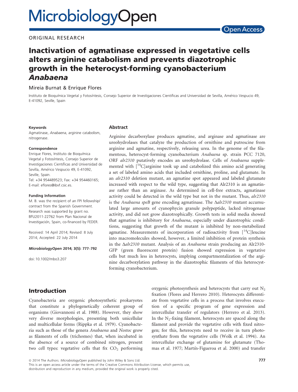 Inactivation of Agmatinase Expressed in Vegetative Cells Alters Arginine Catabolism and Prevents Diazotrophic Growth in the Heterocyst-Forming Cyanobacterium Anabaena