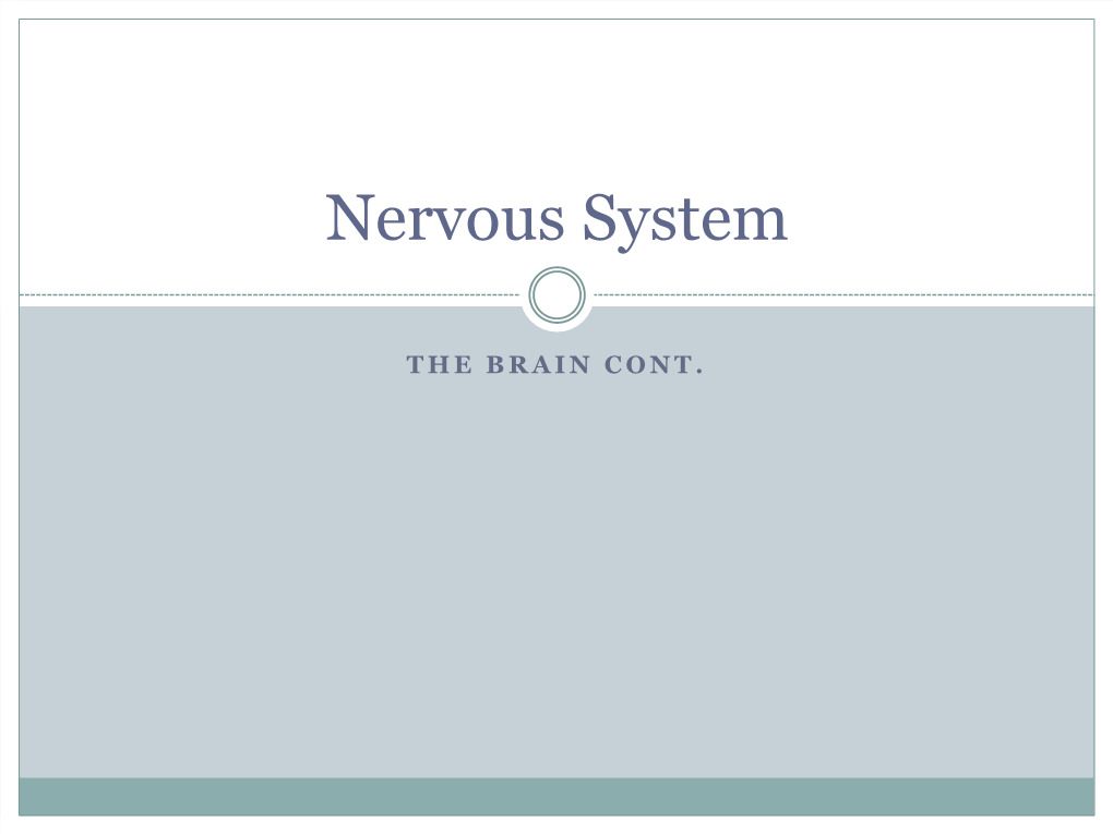 Nervous System