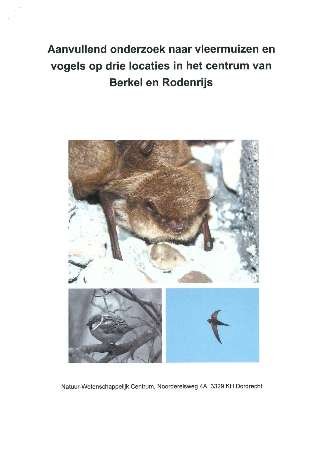 Aanvullend Onderzoek Naar Vleermuizen En Vogels Op Drie Locaties in Het Centrum Van Berkel En Rodenrijs