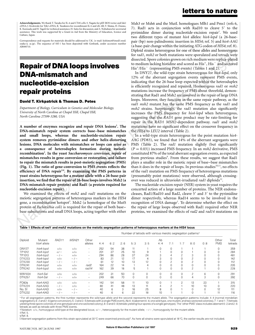 Repair of DNA Loops Involves DNA-Mismatch and Nucleotide