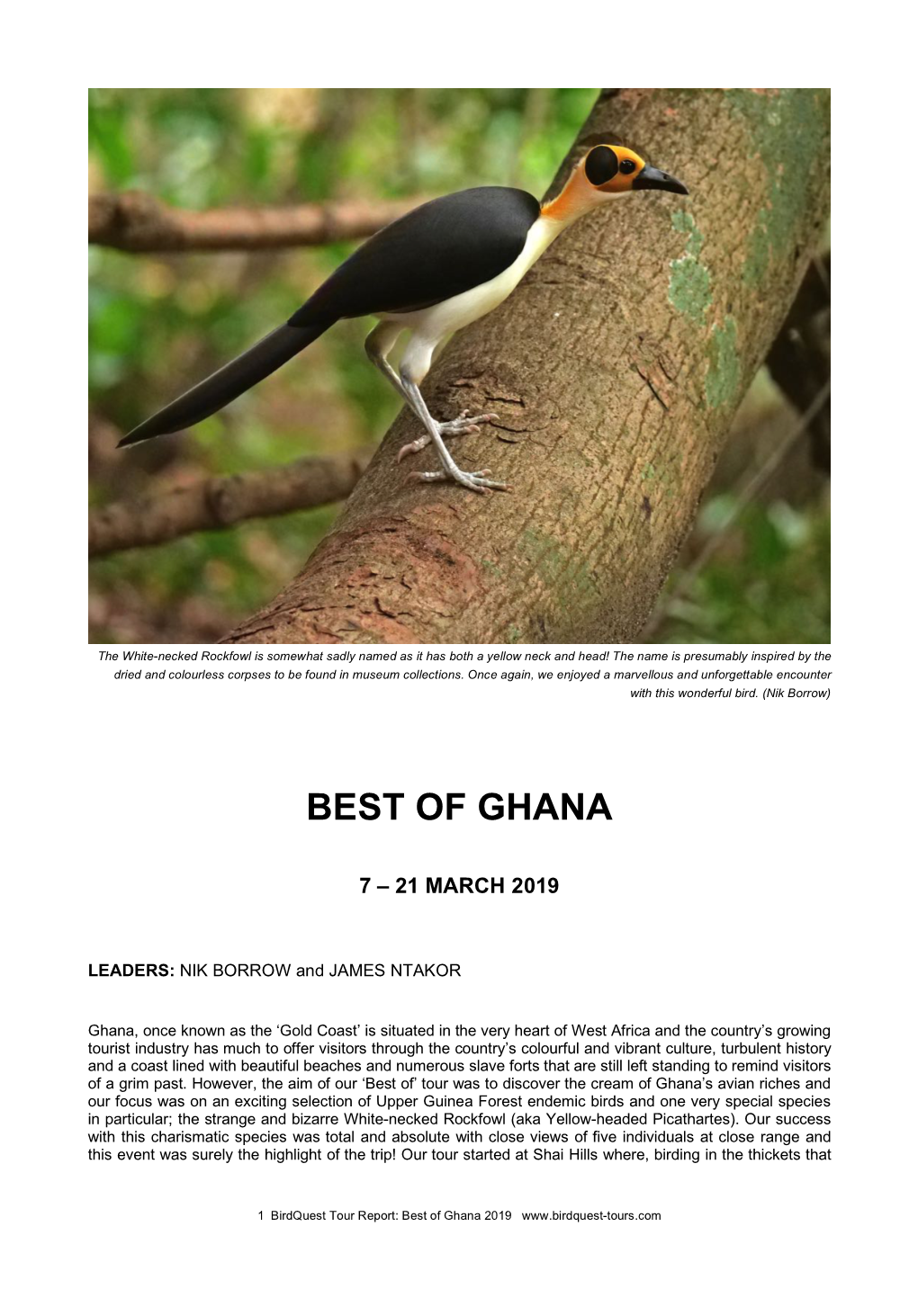 Best of Ghana Tour Report 2019