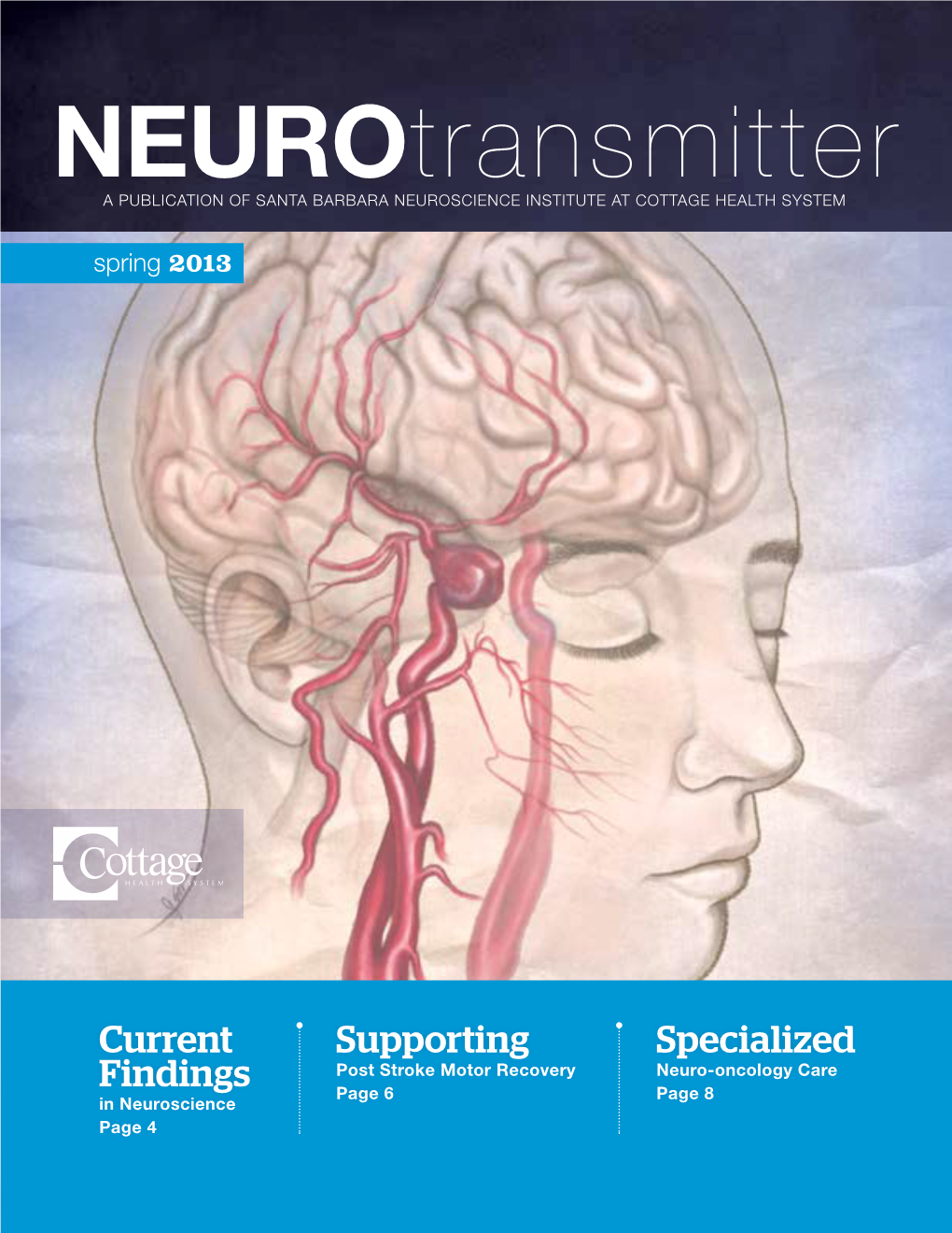 Neurotransmitter Spring 2013