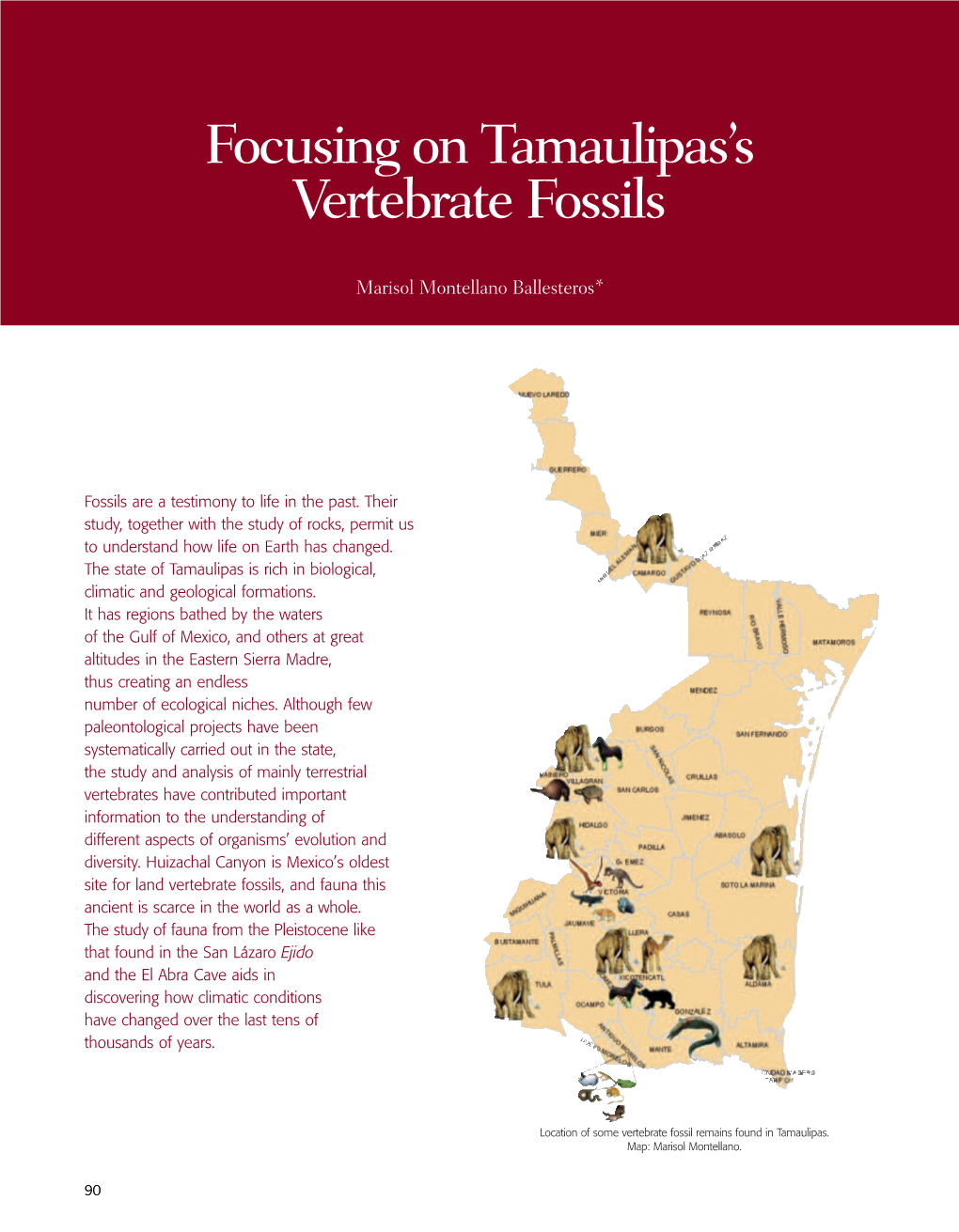 Focusing on Tamaulipas's Vertebrate Fossils