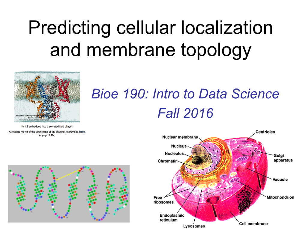 Predicting Cellular Localization and Membrane Topology