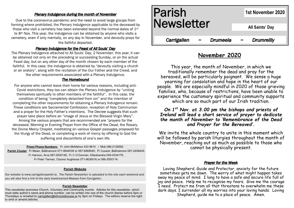 Parish Newsletter Is Uploaded to the Site Each Weekend and Sometimes Gets Me Down