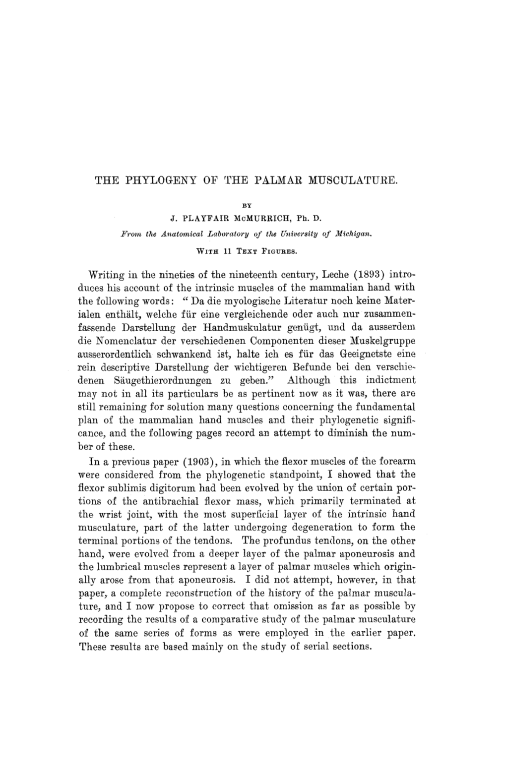 THE PHYLOGENY of the PALMAR MUSCULATURE. Writing in The