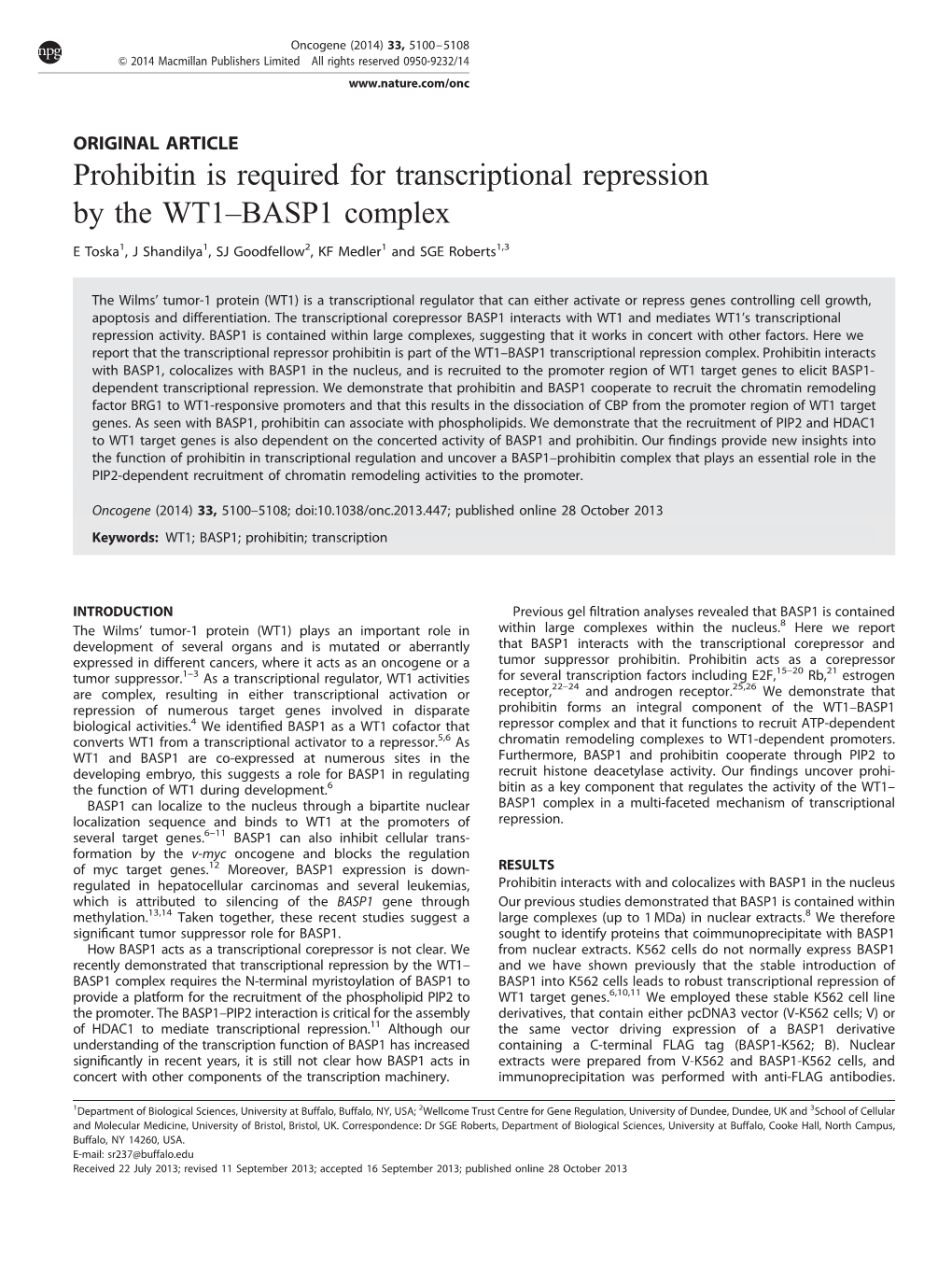 Prohibitin Is Required for Transcriptional Repression by the WT1–BASP1 Complex