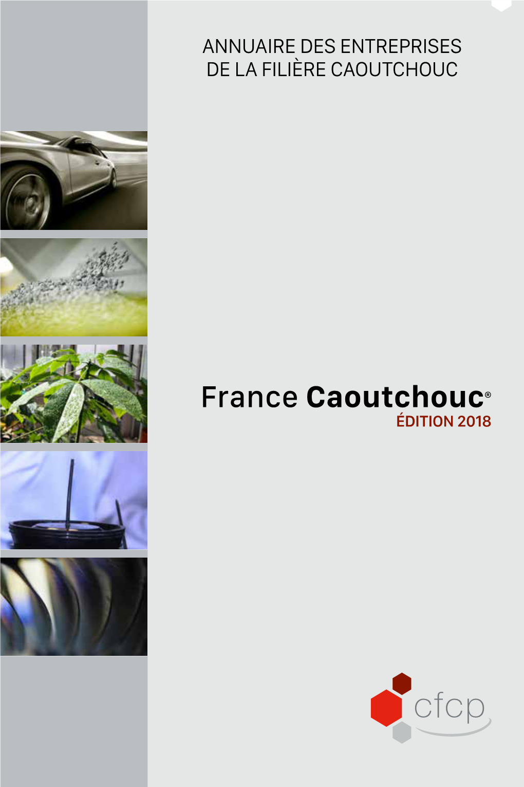 France Caoutchouc® ÉDITION 2018 CONTINENTAL 160-240 Mise En Page 1 18/04/2018 09:47 Page1 ANNUAIRE 2018