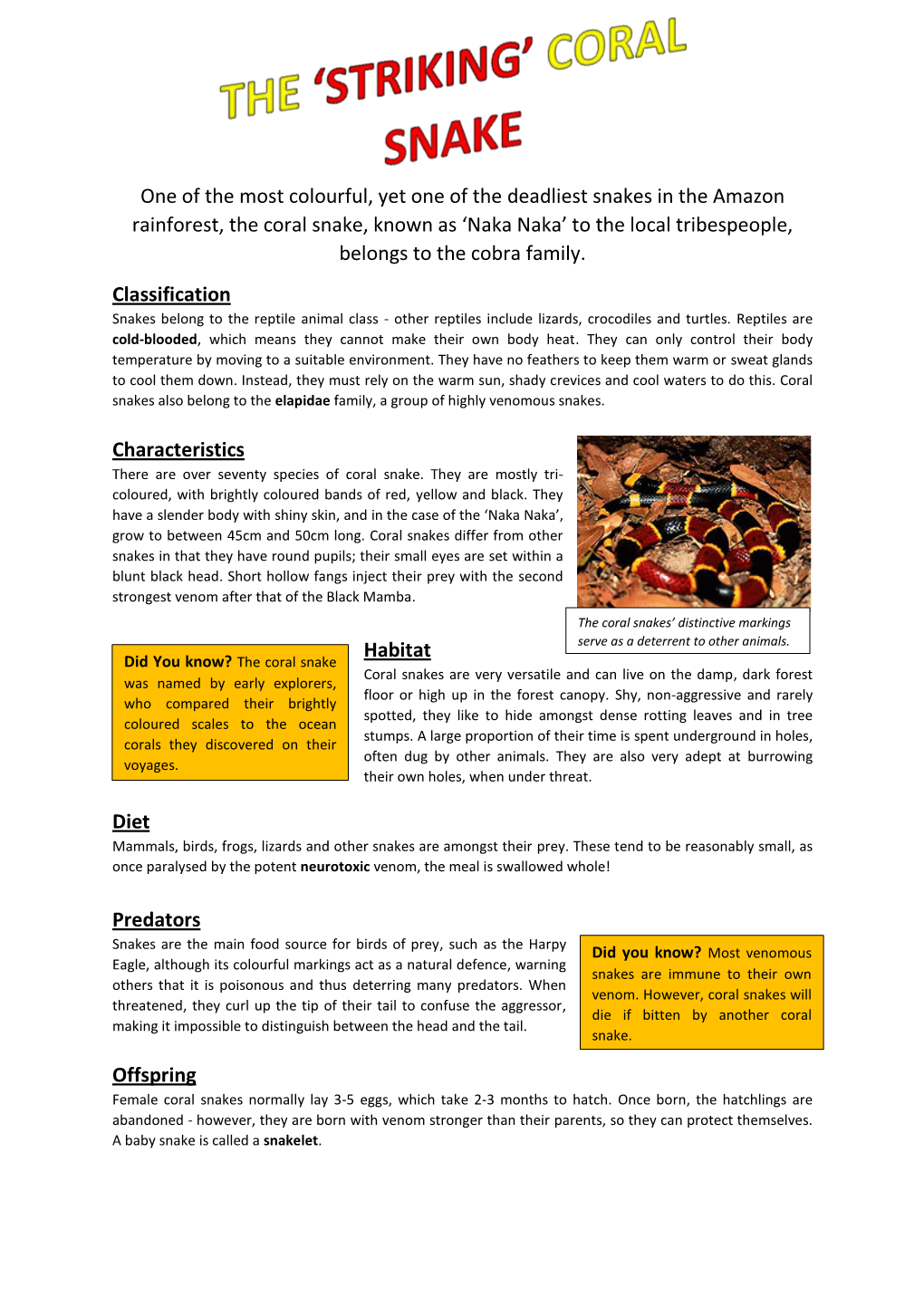 Mrs Smith's the Striking Coral Snake Non-Chronological Report