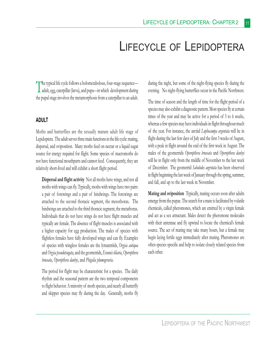 Lifecycle of Lepidoptera