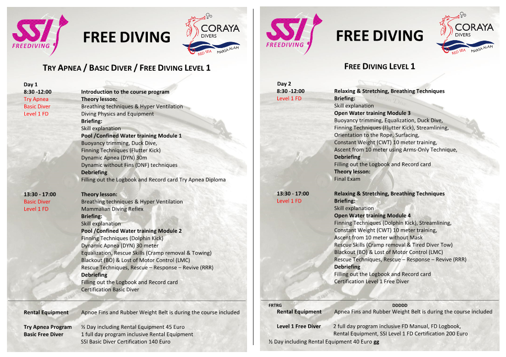 Flyer Introduction-Freediving