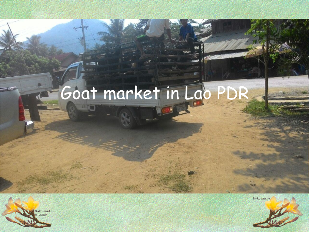 Goat Market in Lao PDR Luangphabang Goat Market Study Was Carried out in 5 Main Huaphan Provinces