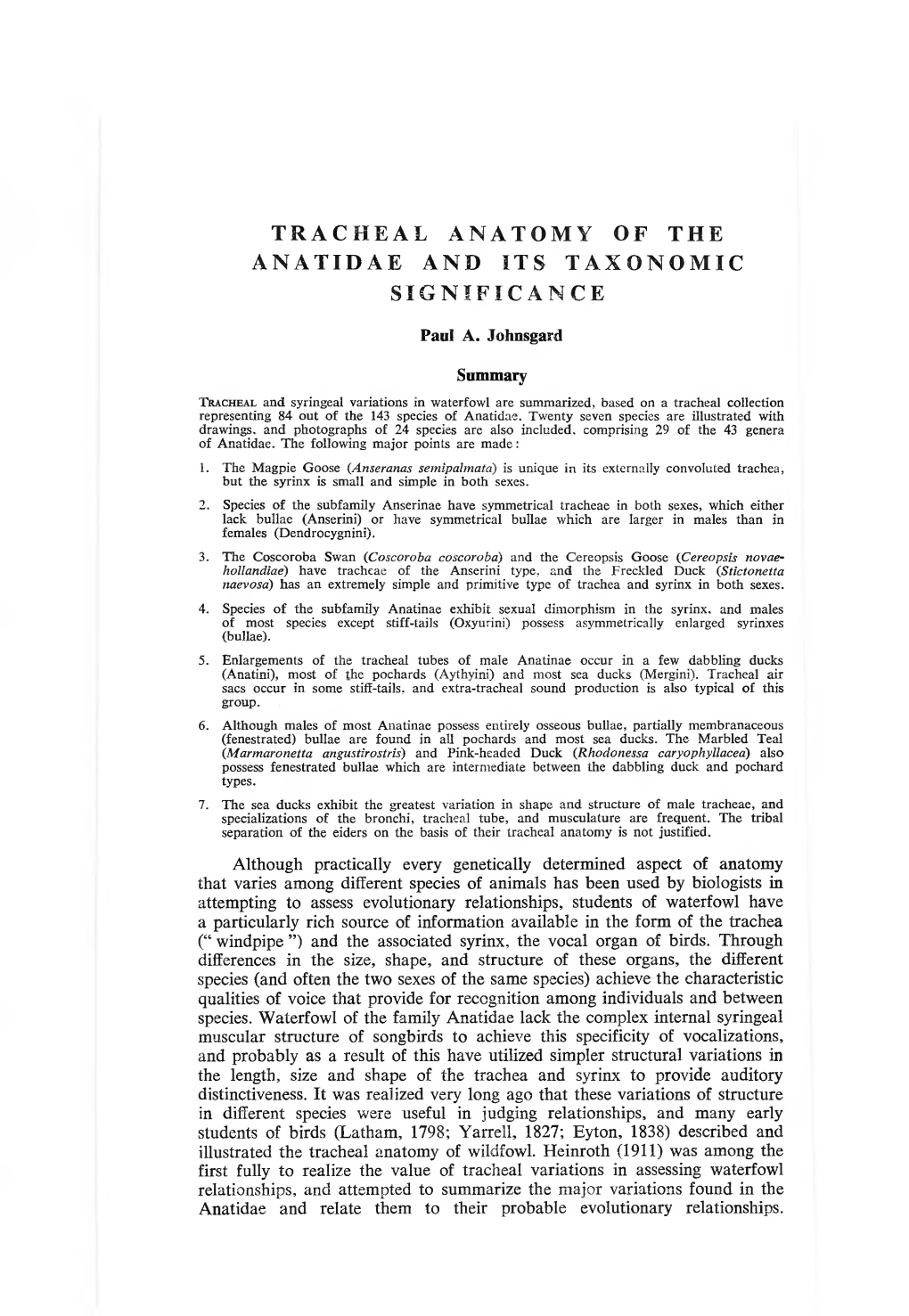 Tracheal Anatomy of the Anatidae and Its Taxonomic Significance