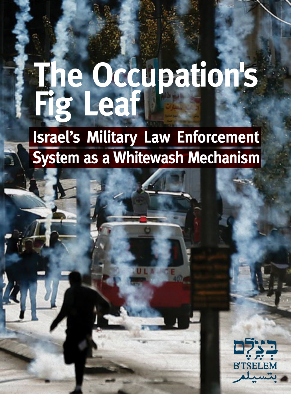 B'tselem's Report: the Occupation's Fig Leaf