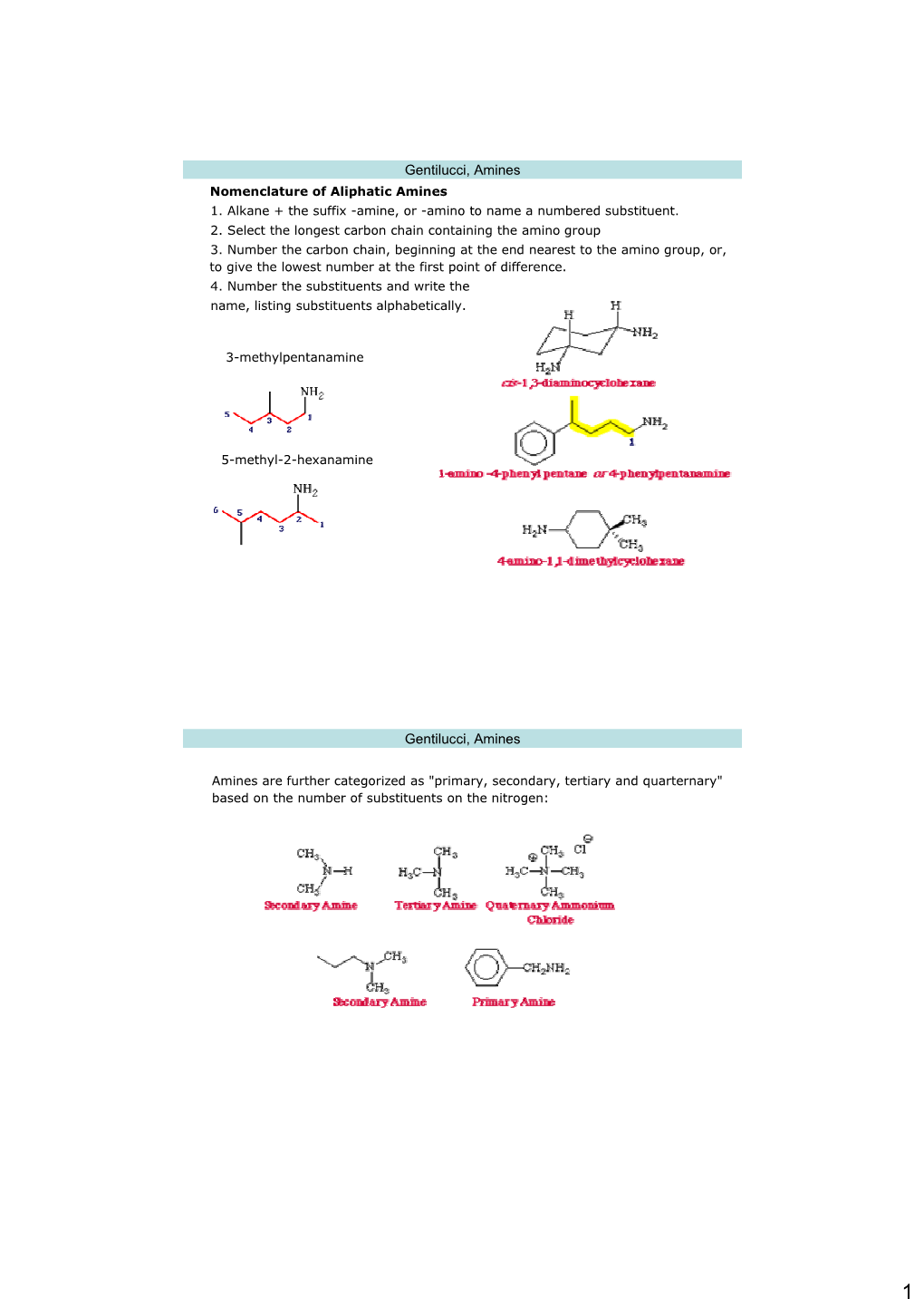 Gentilucci, Amines Gentilucci, Amines