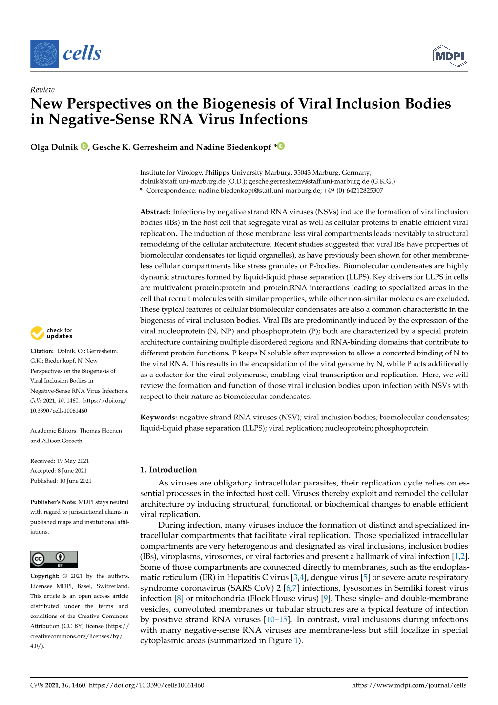 New Perspectives on the Biogenesis of Viral Inclusion Bodies in Negative-Sense RNA Virus Infections