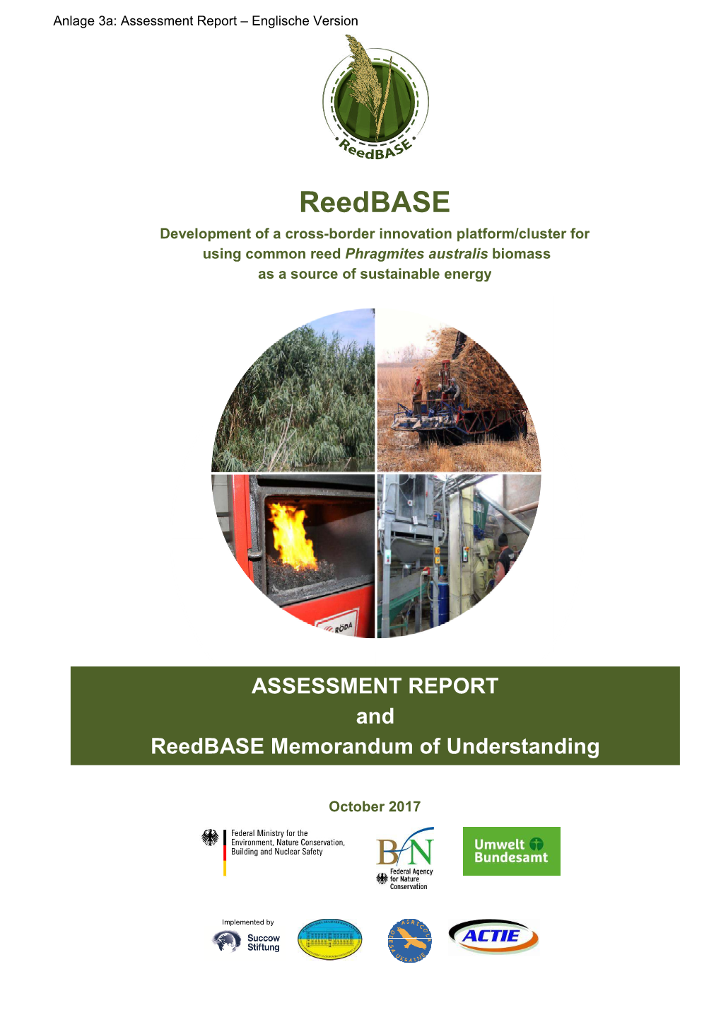 Reedbase Development of a Cross-Border Innovation Platform/Cluster for Using Common Reed Phragmites Australis Biomass As a Source of Sustainable Energy