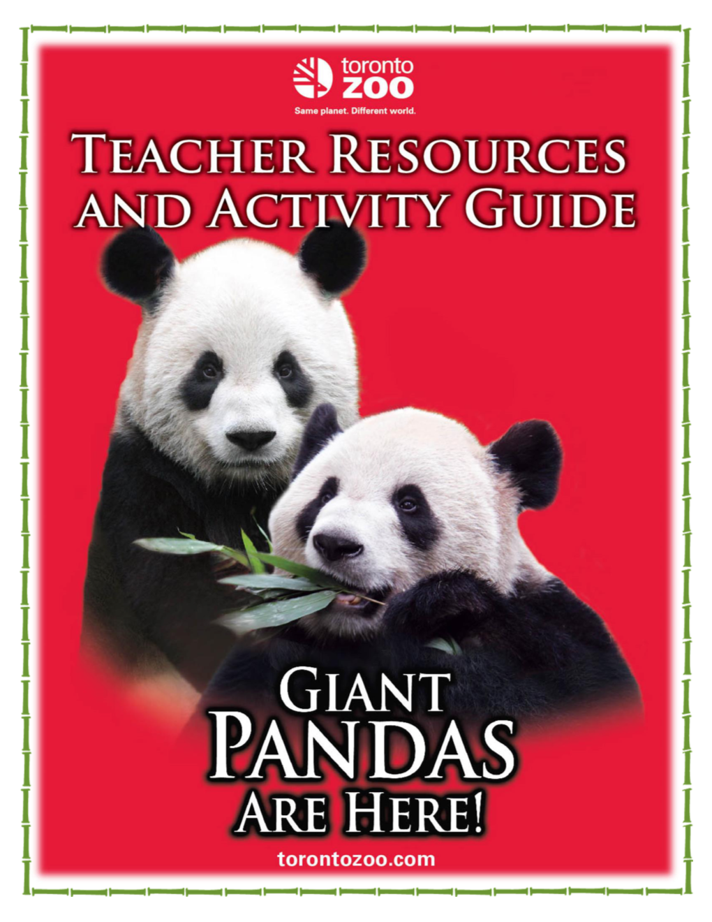 Giant Pandas!