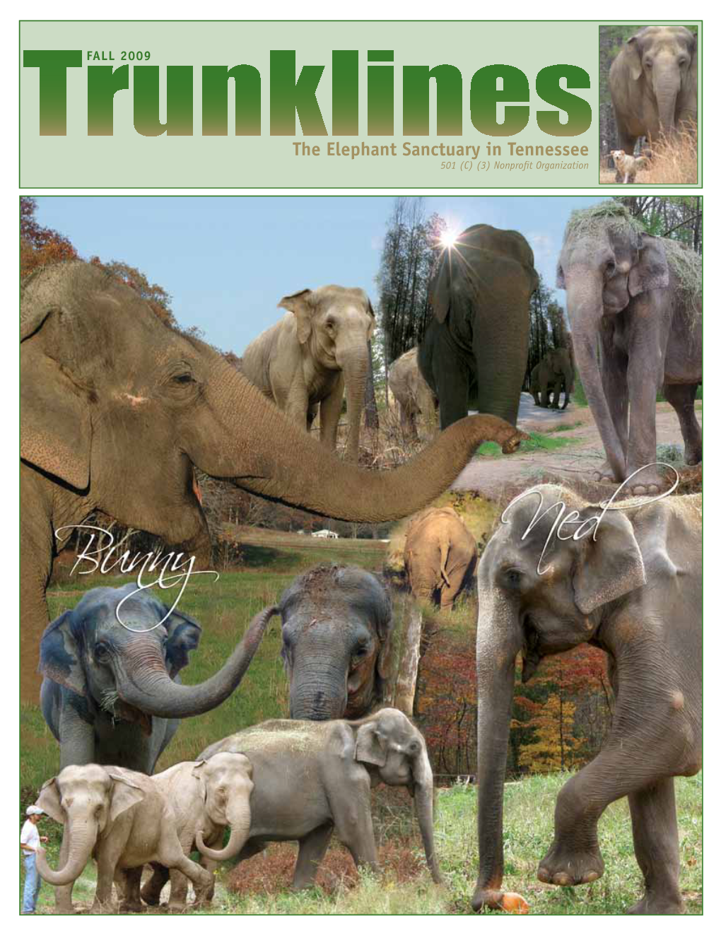 The Elephant Sanctuary in Tennessee 501 (C) (3) Nonprofit Organization 501 (C) (3) Nonprofit Organization