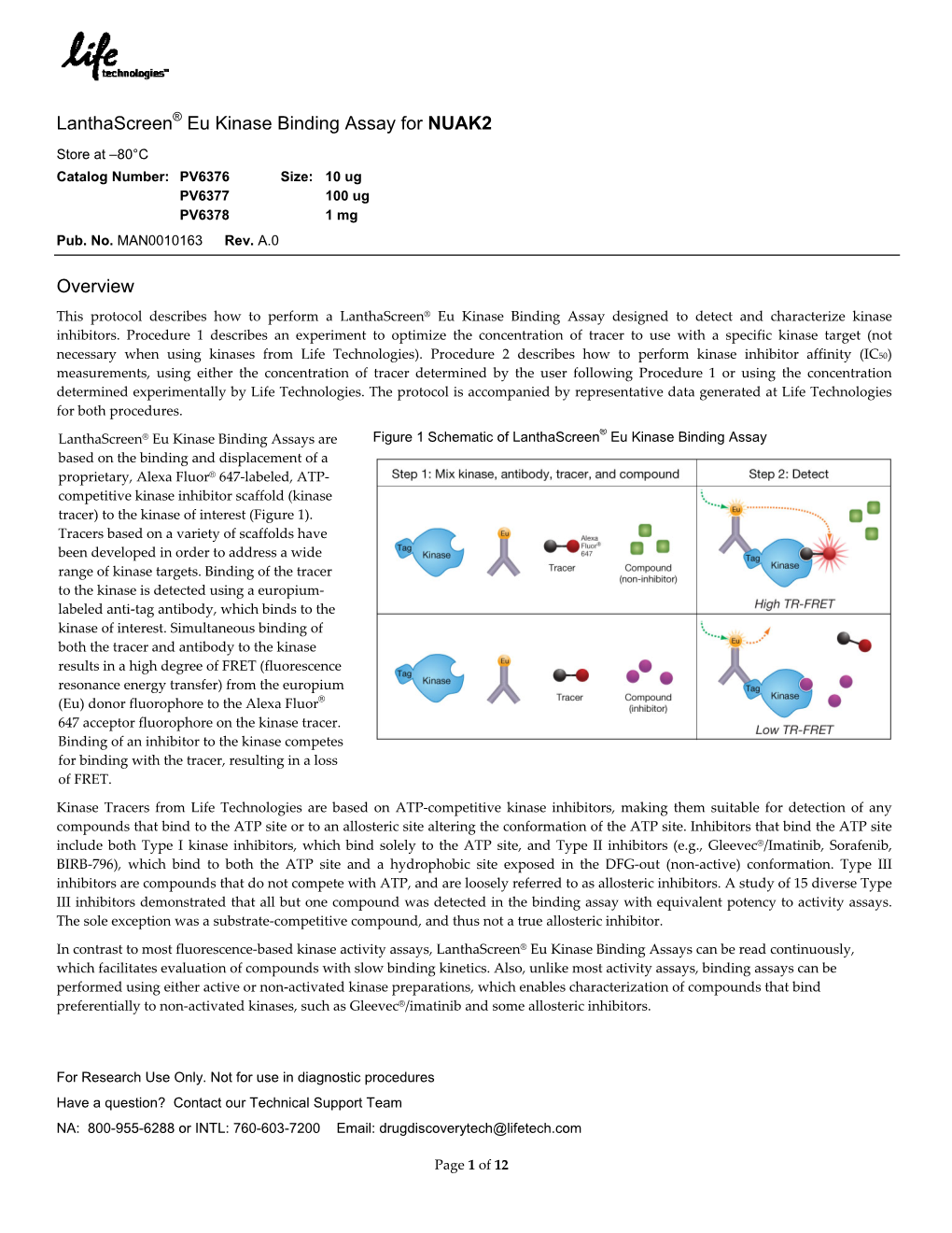 Lanthascreen® Eu Kinase Binding Assay for NUAK2 Overview