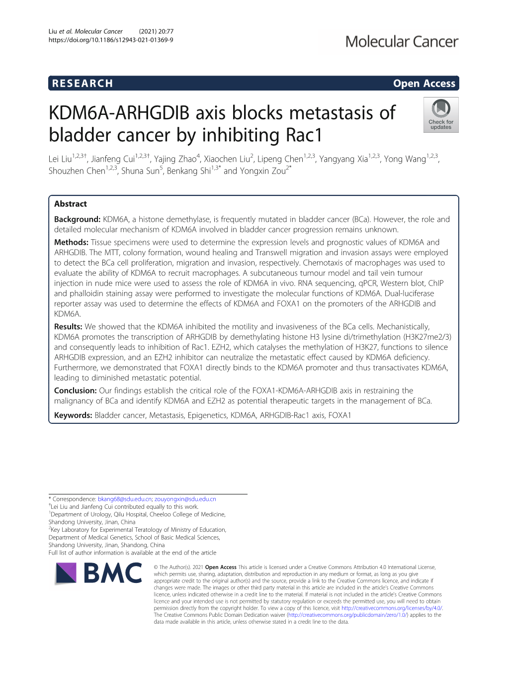 KDM6A-ARHGDIB Axis Blocks Metastasis of Bladder Cancer By