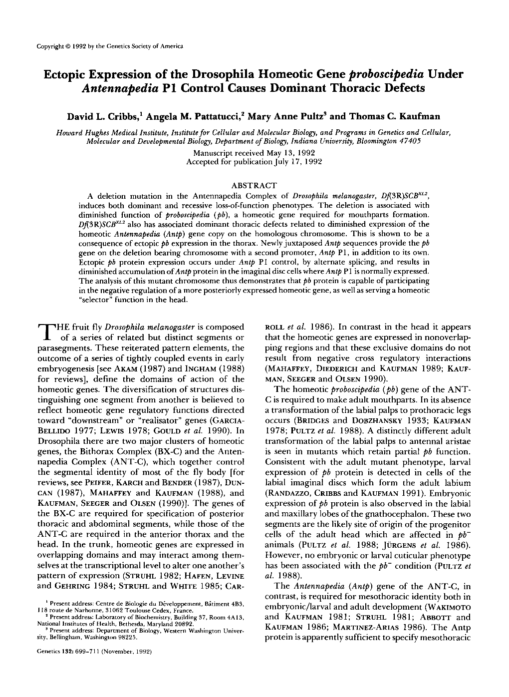 Ectopic Expression of the Drosophila Homeotic Gene Proboscipedia Under Antennapedia P1 Control Causes Dominant Thoracic