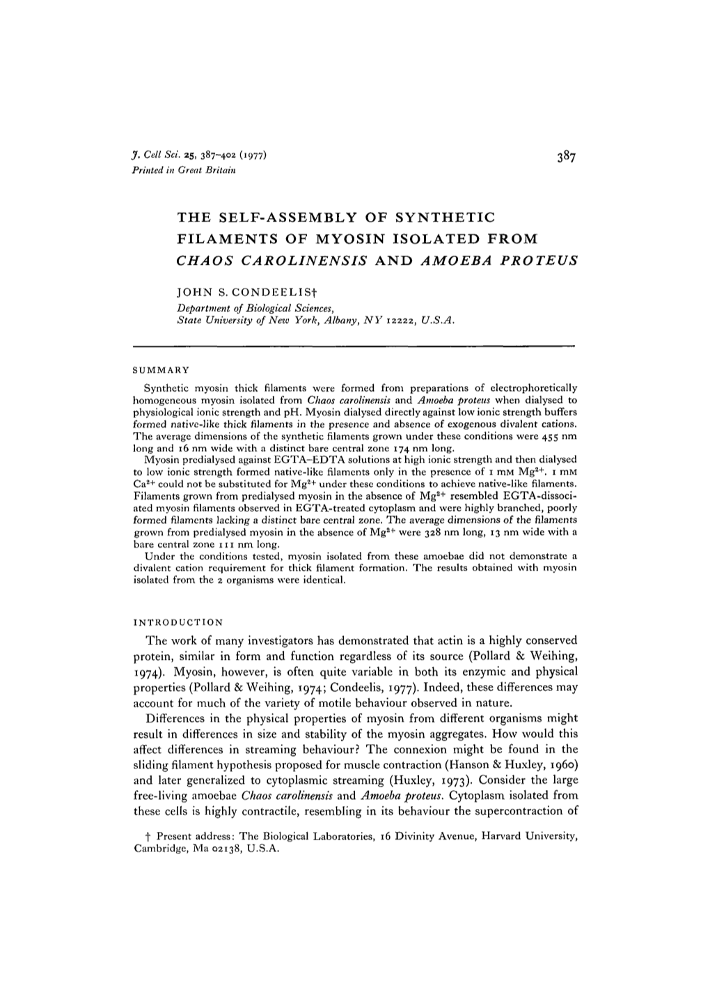 The Self-Assembly of Synthetic Filaments of Myosin Isolated from Chaos Carolinensis and Amoeba Proteus