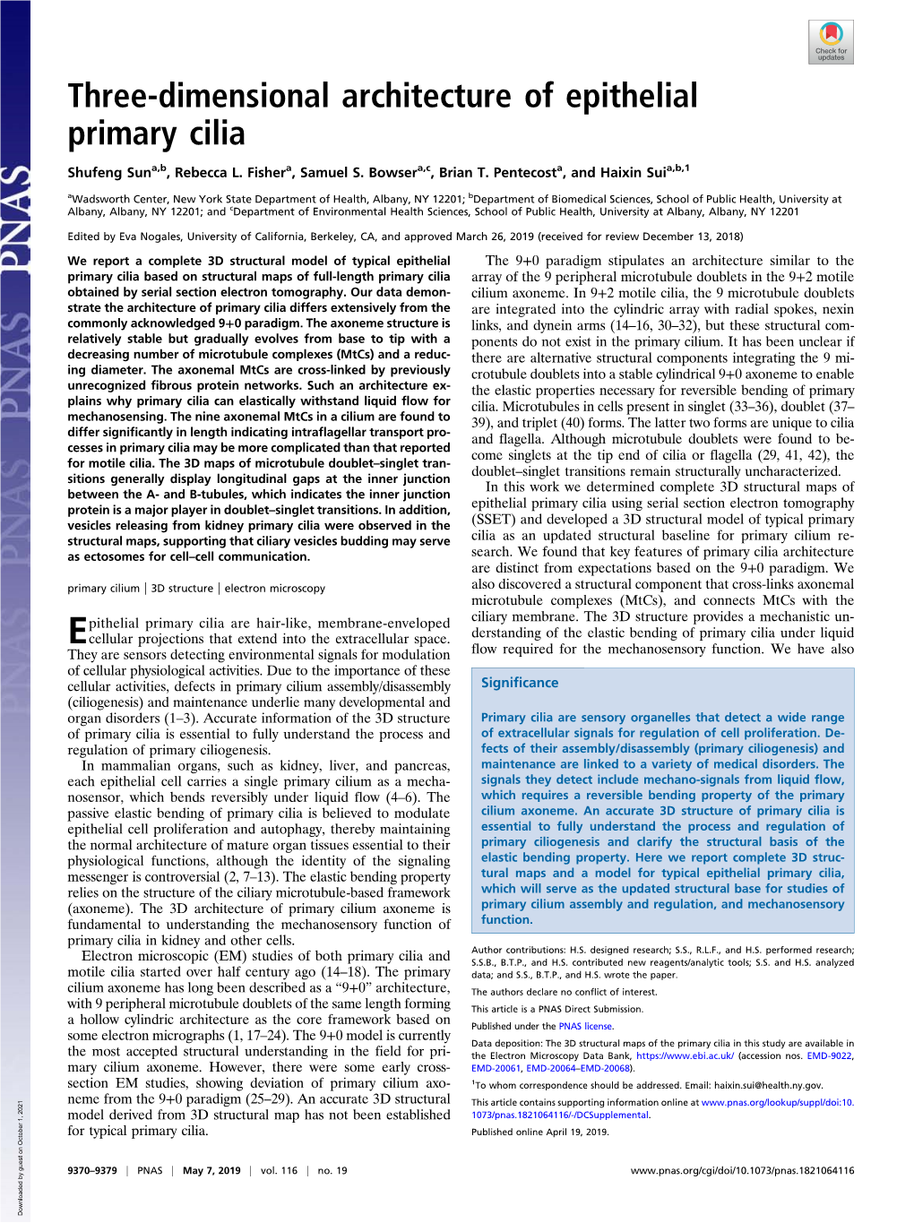 Three-Dimensional Architecture of Epithelial Primary Cilia