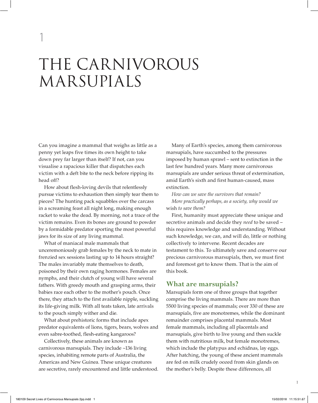 The Carnivorous Marsupials