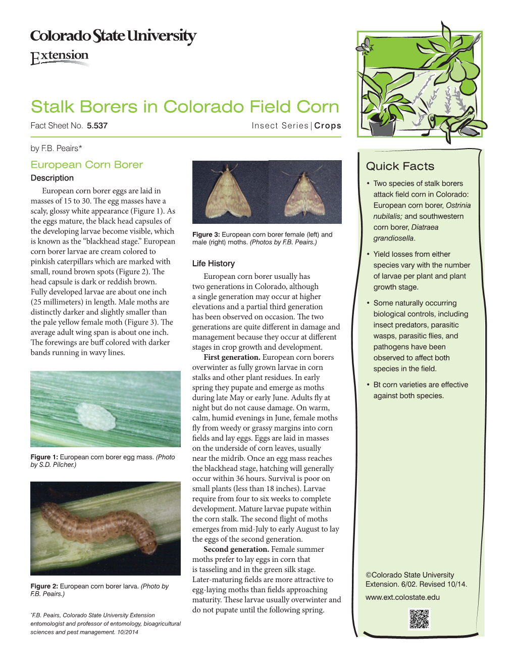 Stalk Borers in Colorado Field Corn Fact Sheet No