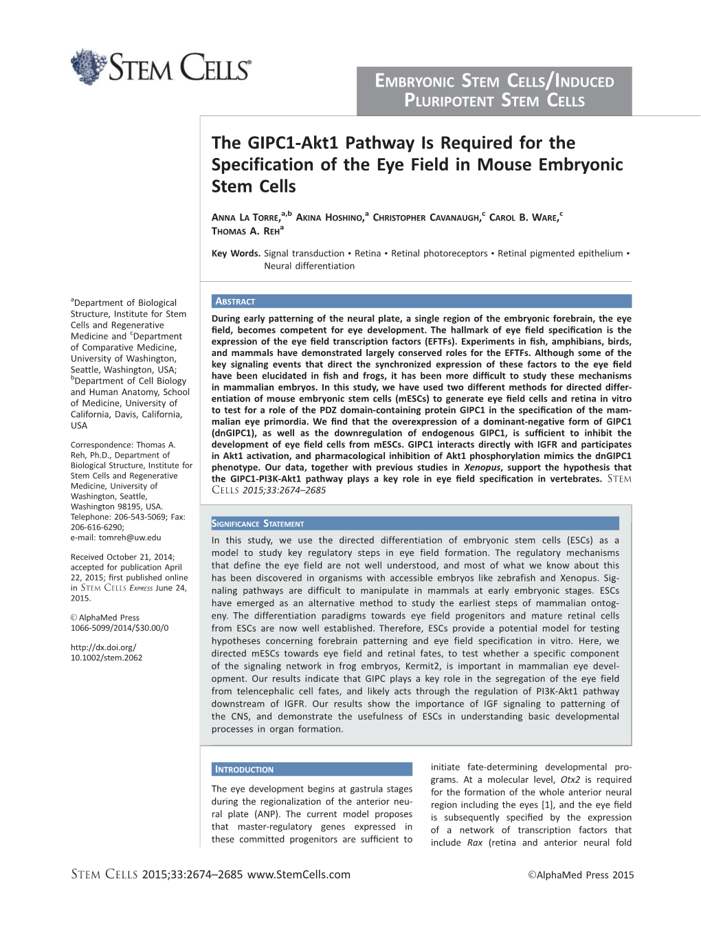 The GIPC1‐Akt1 Pathway Is Required for the Specification of The