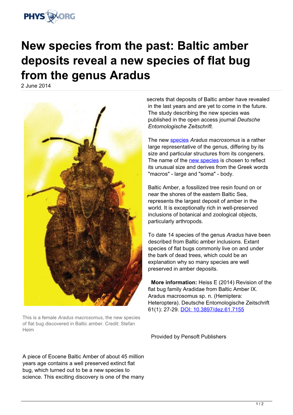 Baltic Amber Deposits Reveal a New Species of Flat Bug from the Genus Aradus 2 June 2014