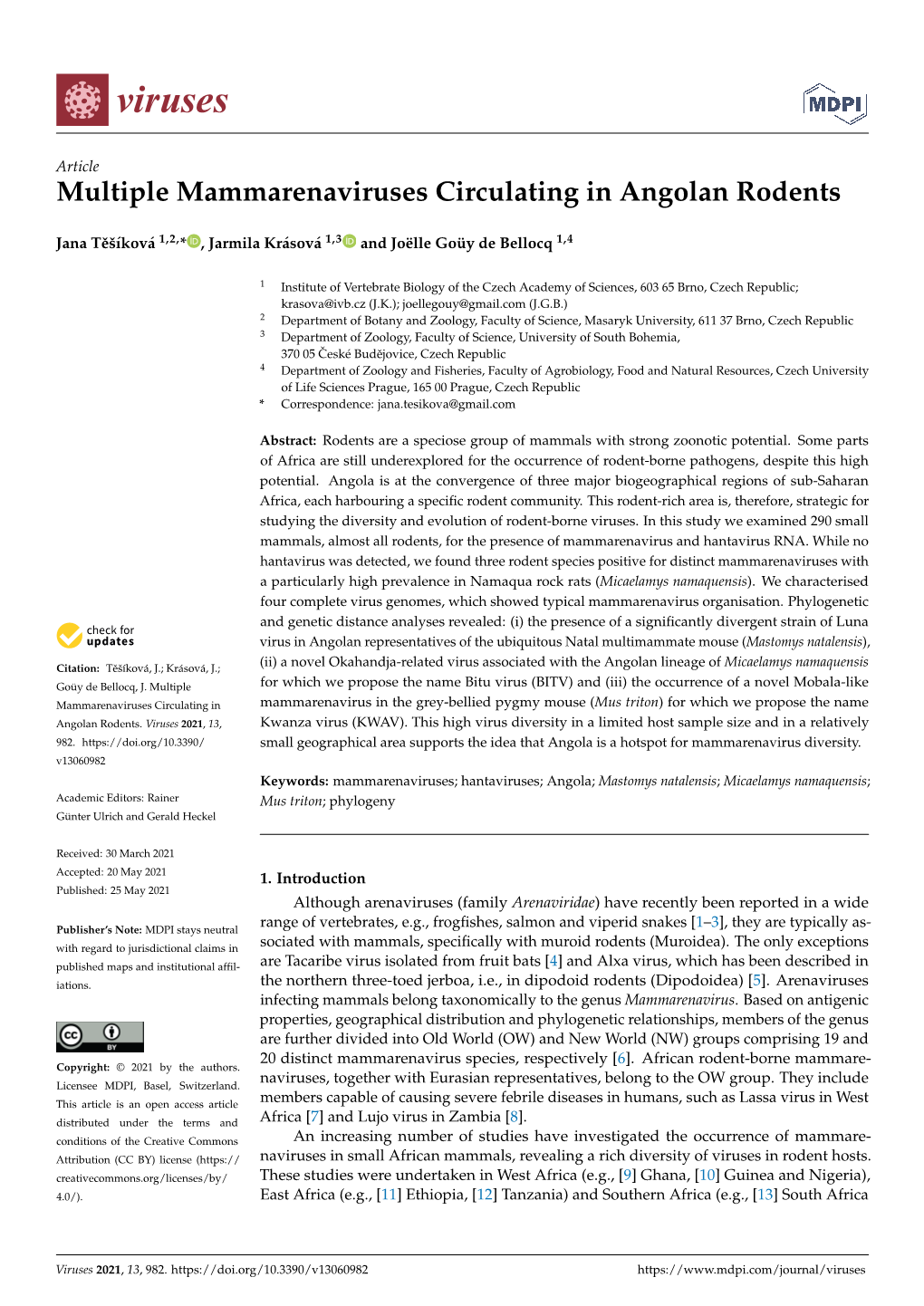 Multiple Mammarenaviruses Circulating in Angolan Rodents