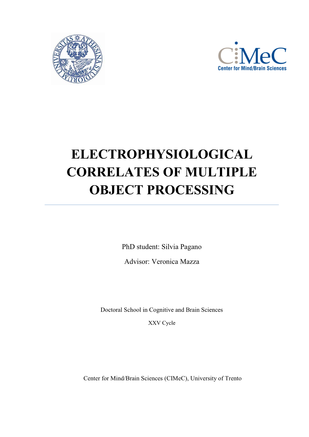 Electrophysiological Correlates of Multiple Object Processing