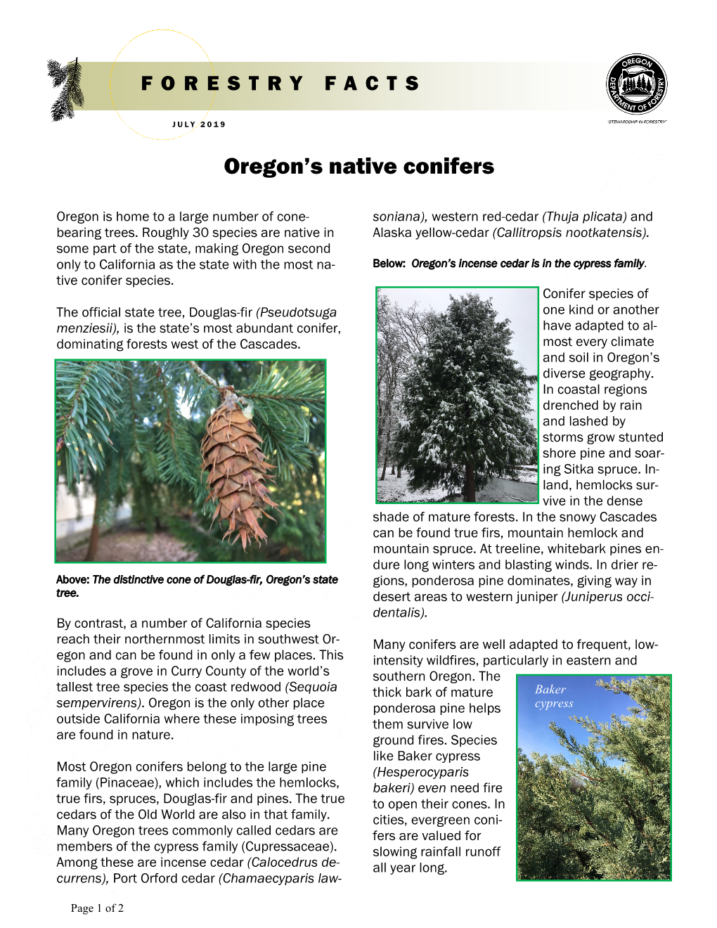 Oregon's Native Conifers