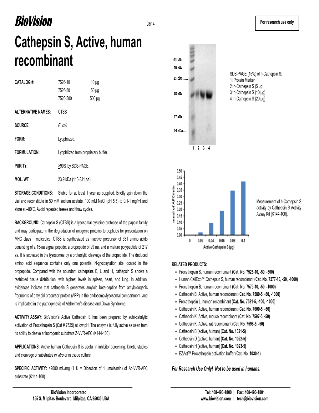 Cathepsin S, Active, Human Recombinant