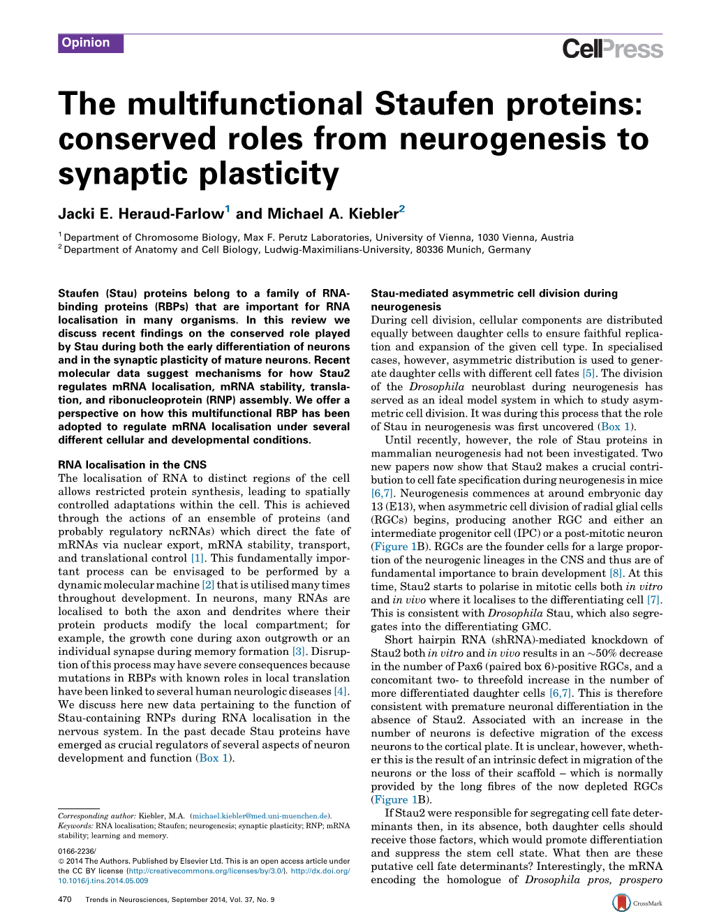 The Multifunctional Staufen Proteins: Conserved Roles from Neurogenesis